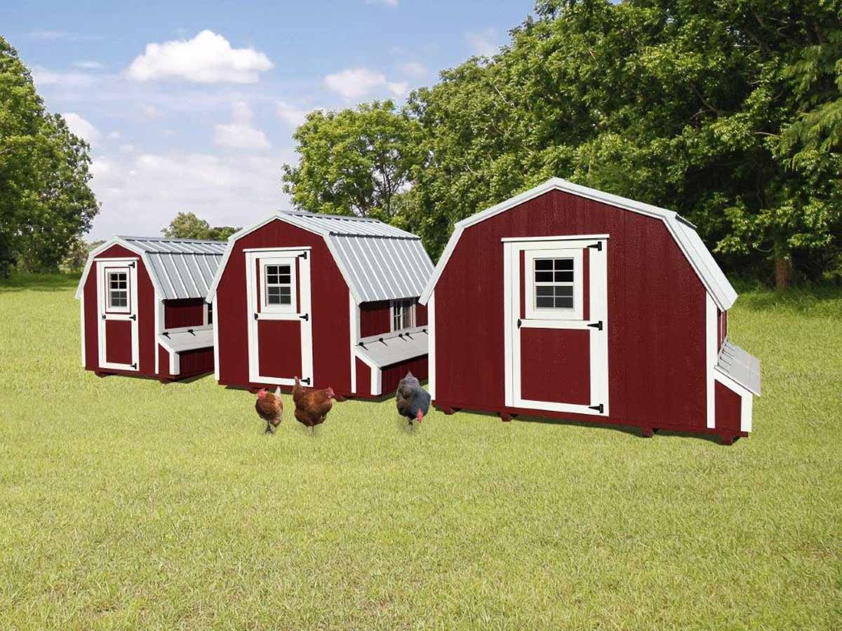 Where to Buy a Chicken Coop - Countryside Barns