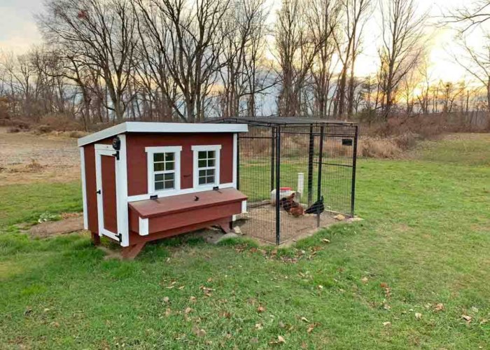 Large Chicken Coop Product Page