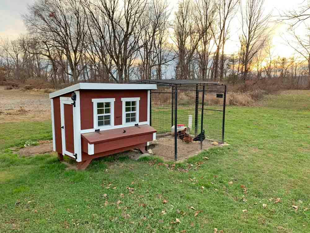 Large Chicken Coop Kits for Sale Countryside Barns