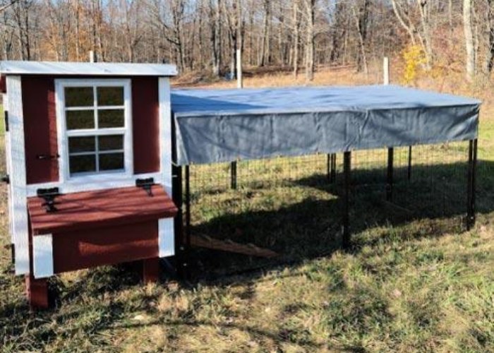 Small Chicken Coop Product Page