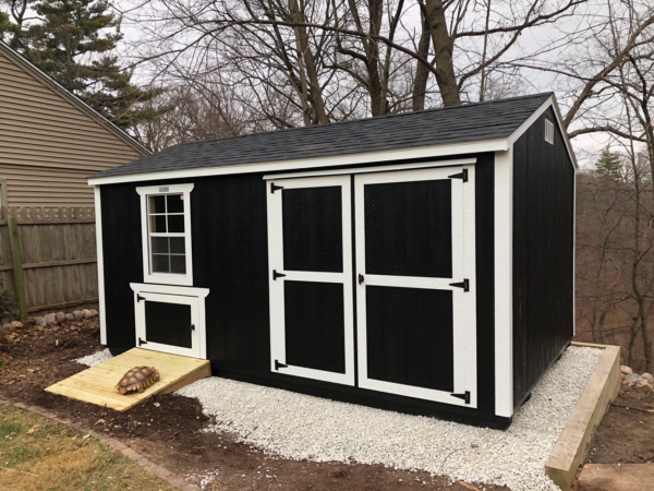Creative Shed ideas - turtle shed