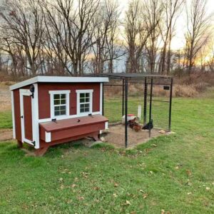Large Chicken Coop Product Page