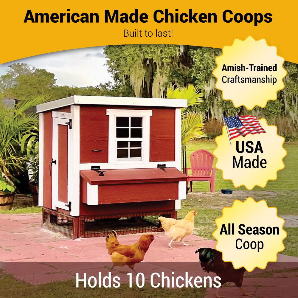 Medium Chicken Coop Product Page 6 Medium Chicken Coop Product Page