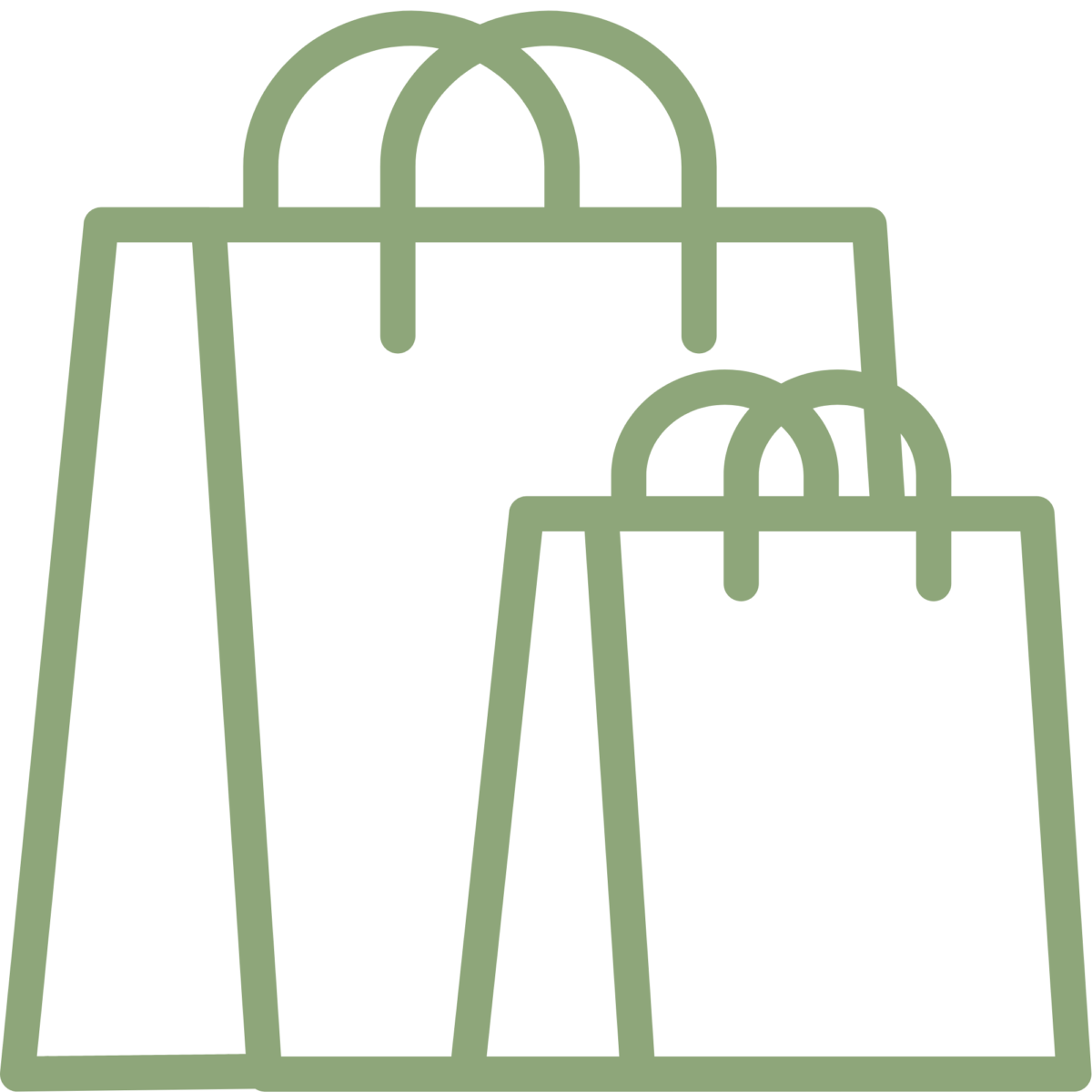 Shop Icon 1